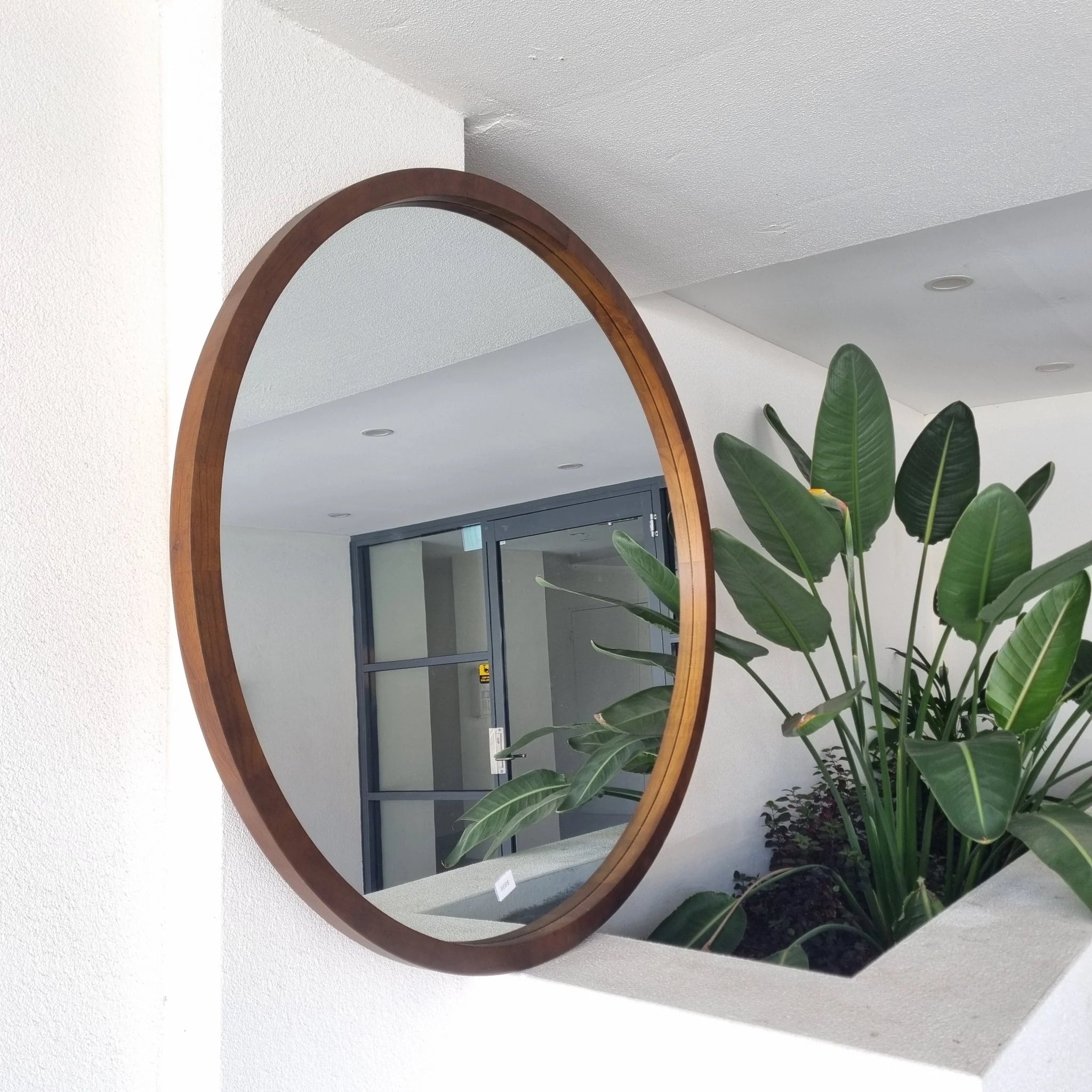 Shop Walnut Mirrors - Sydney Mirrors