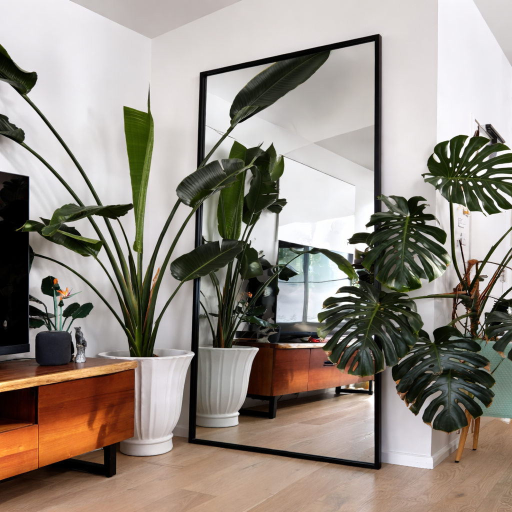 Boxa Full-Length Boxed Rectangle Mirror – 200x100cm ***PRE ORDER***