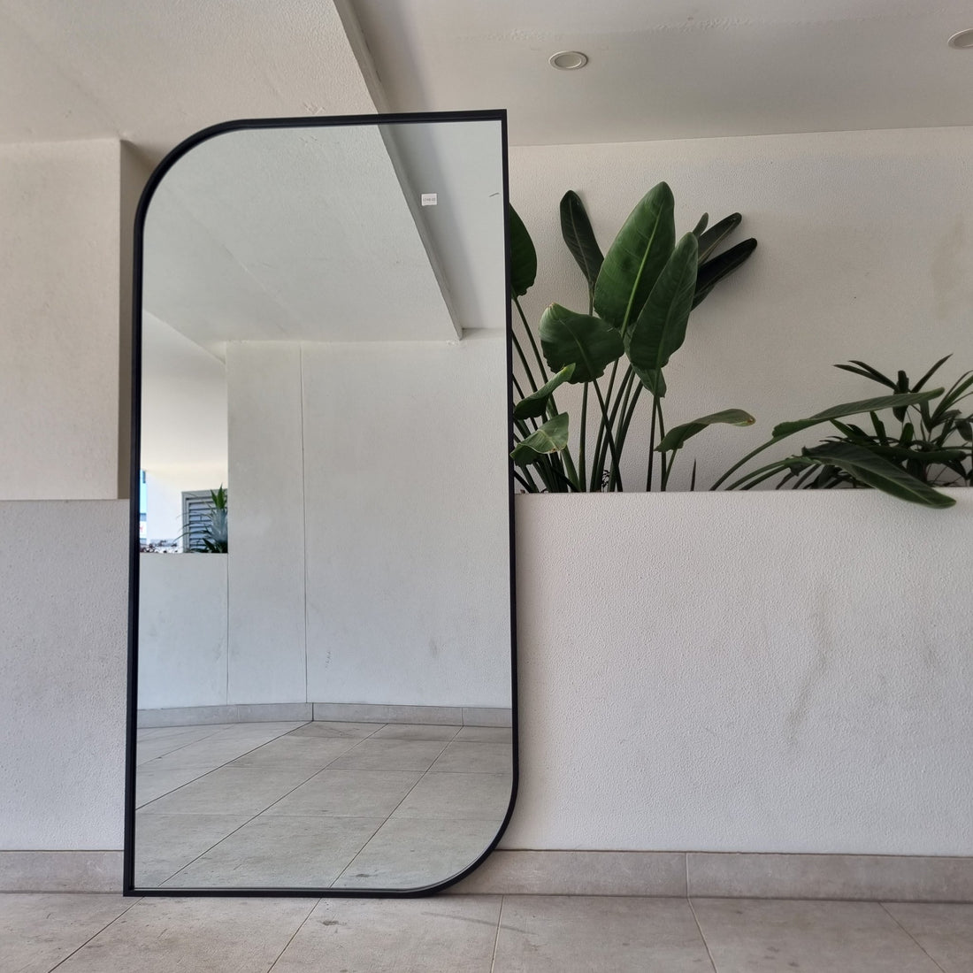 Swift black arched full-length mirror leaning beside a plant